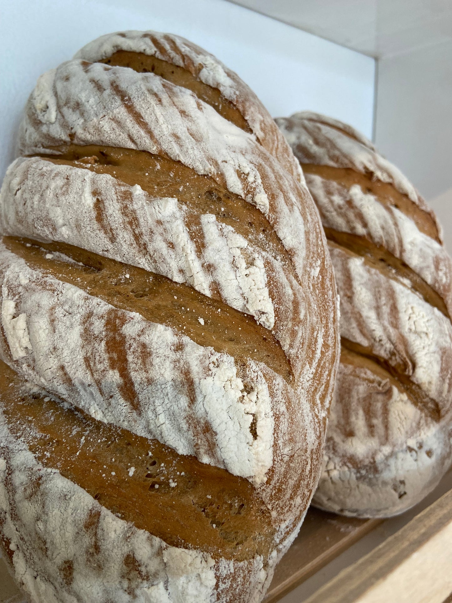 Rye