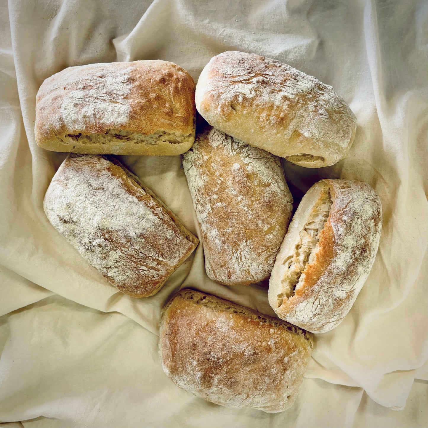 Ciabattini (6)