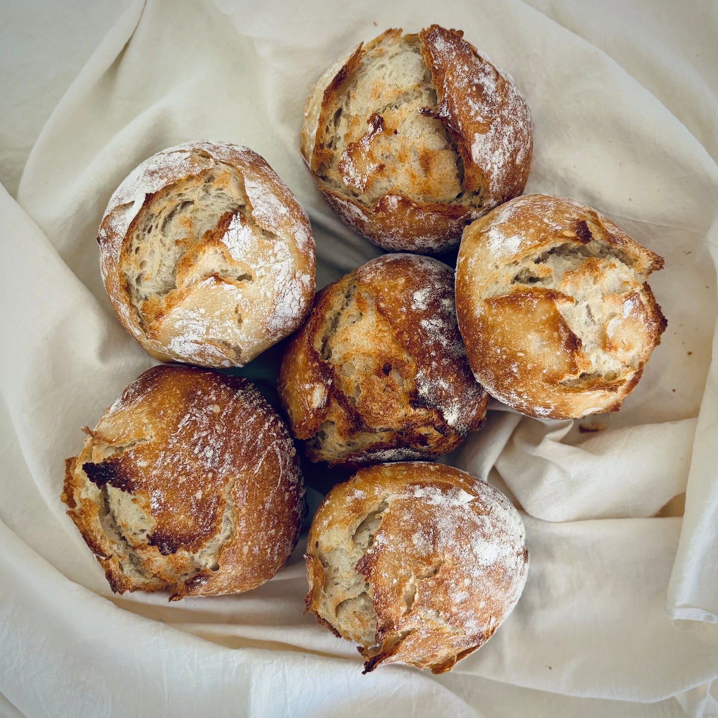 Ciabatta Rolls (6)